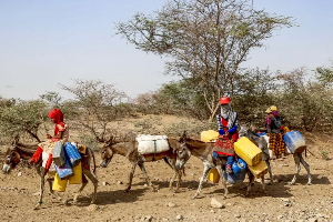Children use donkeys to fetch water amid extreme heat in Yemen's Hodeidah province