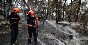 Some 10% of the historic forest south of Paris has been burned