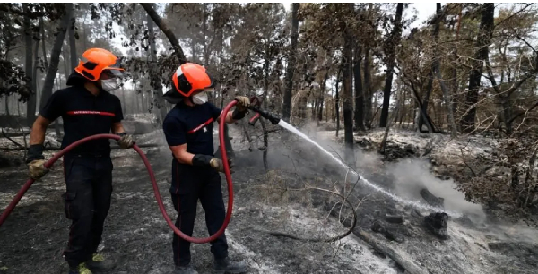 Some 10% of the historic forest south of Paris has been burned