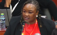 Zandile Majozi, South African politician and Member of Parliament (MP) in the National Assembly