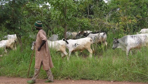There has been several cases of alleged classhes between herdsmen and farmers in some communities