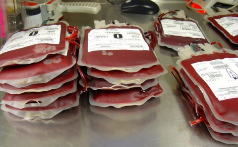 Donated blood (file photo)