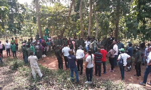 Some employees under the YAP at of the plantation sites in Bechem Forest District in Ahafo Region