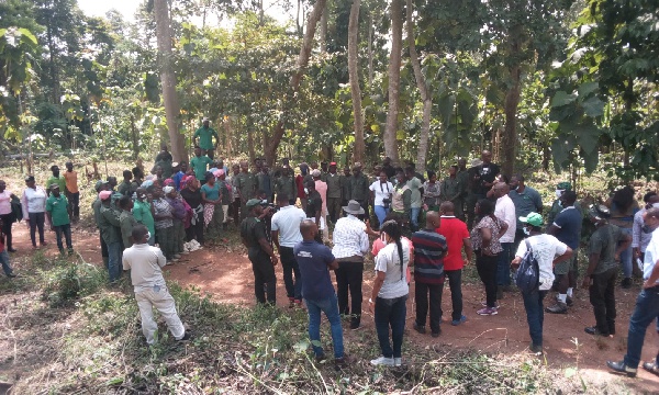 Some employees under the YAP at of the plantation sites in Bechem Forest District in Ahafo Region