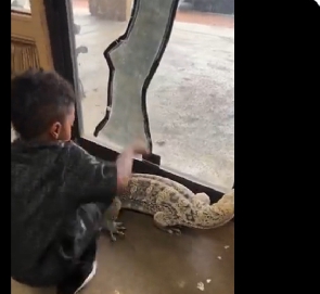 Zion and his monitor lizard pet