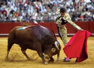 Spain Bullfighter Matador