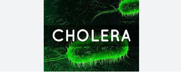 About 817 suspected cholera cases have been recorded in three Sudanese states