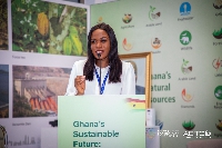 Emelia Akumah speaking at the COP 28 at Dubai
