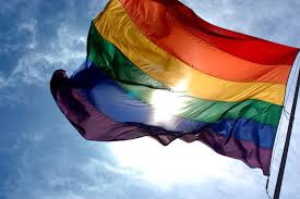 Gay Homo Flag
