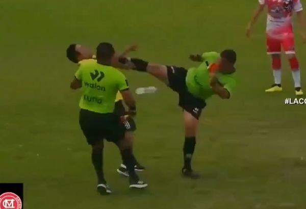 The referee kicking the coach