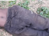 The police had picked up the body, as investigations continued. No arrest had been made so far