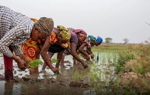 Women in farming