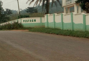 A file photo of the entrance of PESTECH