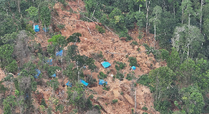 Photo of the Atewa forest
