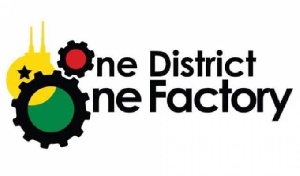 One District One