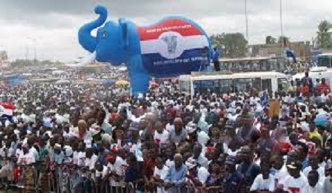 Some NPP enthusiasts lifting up a crafted elephant; the symbol of the party