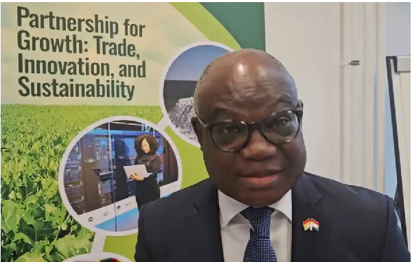 Visa refusals hindering Ghana-Netherlands business development – Ambassador Kotia