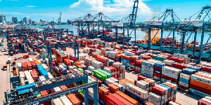 The Publican AI system has become mandatory for all import clearances