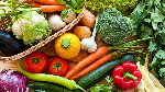 Urban farm vegetables high in mercury, faecal content – Study reveals