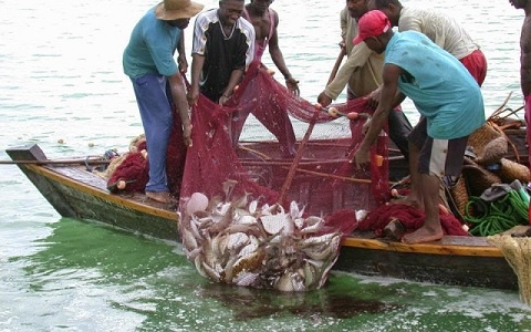 Some fishermen pulling in their catch