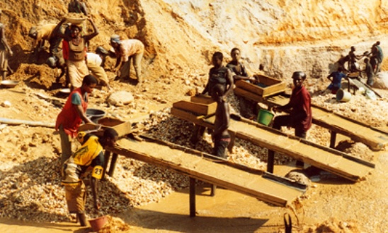 29 illegal miners arrested in the Atiwa Rain Forest Reserve on Thursday night