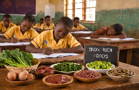 New research is reframing poor academic performance as a nutrition emergency