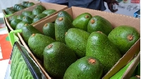 Kenya's avocado export earnings exceeded $137.9 million in 2023
