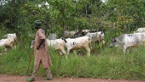Adaklu Waya residents demonstrated against the activities of fulani herds men is the area