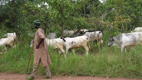 Adaklu Waya residents demonstrated against the activities of fulani herds men is the area