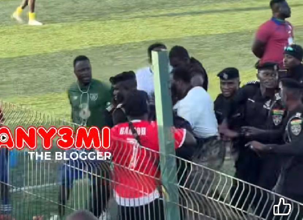 The fan was dragged by police after the game