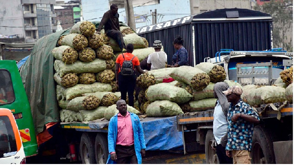 Potato traders wait for traders for the valuable commodity