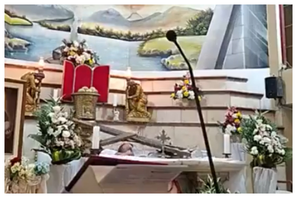 A screenshot of the footage