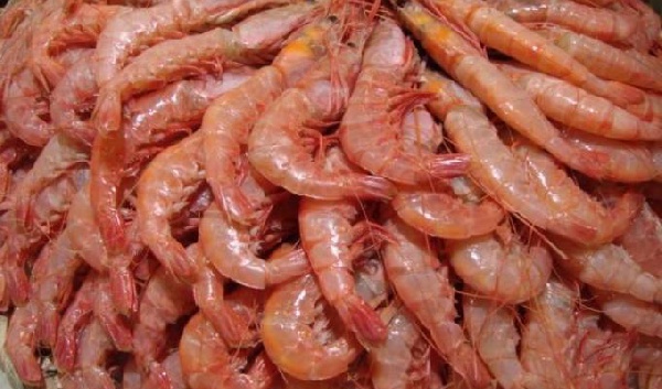 shrimps