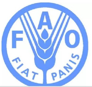 The Food and Agriculture Organisation