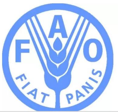 Food and Agriculture Organisation (FAO) logo