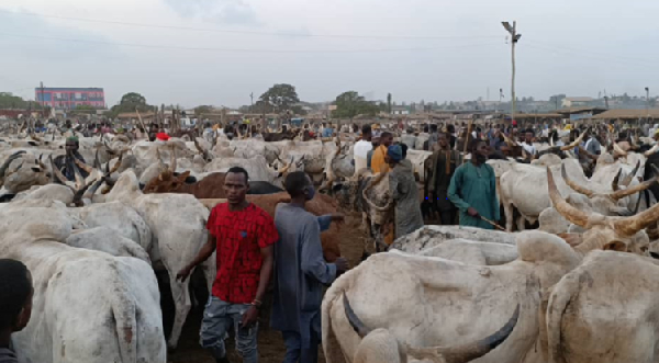 Efforts to reset Ghana's economy must include reforms in the livestock sub-sector