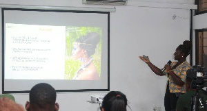 One participant making a presentation at the event