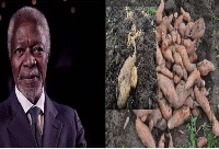 The late Kofi Annan, Inset is the CRI-Kofi Annan