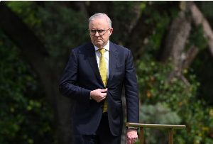 Anthony Albanese Pm.png