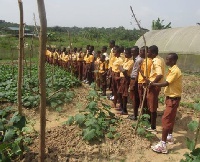 The teachers believe the subject will help students have interest in farming