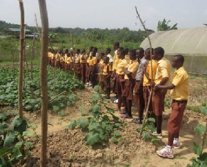 The teachers believe the subject will help students have interest in farming