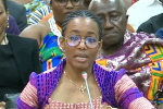 Galamsey fight requires effective inter-agency coordination - Dr Zanetor