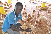 The supply of poultry birds is in line with the Livelihood Restoration Plan initiated by Eni Ghana