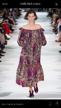 English fashion designer, Stella McCartney, has raised eyebrows over her fashion style