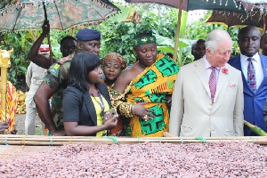 Prince Charles interacts visits cocoa farm at Kona in the Ashanti Region