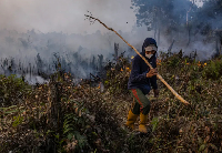A  man attempts to extinguish a wildfire in his oil palm plantation on Sept 23, 2023