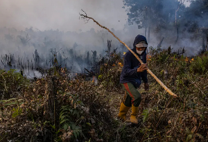 A  man attempts to extinguish a wildfire in his oil palm plantation on Sept 23, 2023