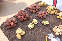 File photo of cola nuts at a market