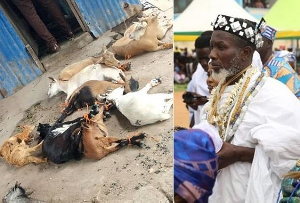 Nene Hakpo Adi Buertey Puplampu (Right) and the alleged stolen goats