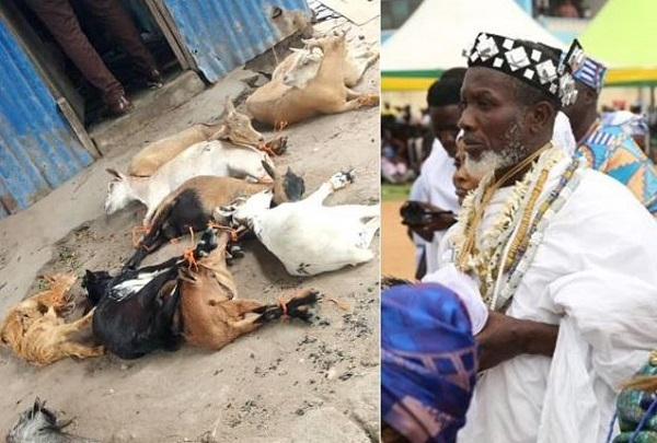 Nene Hakpo Adi Buertey Puplampu (Right) and the alleged stolen goats